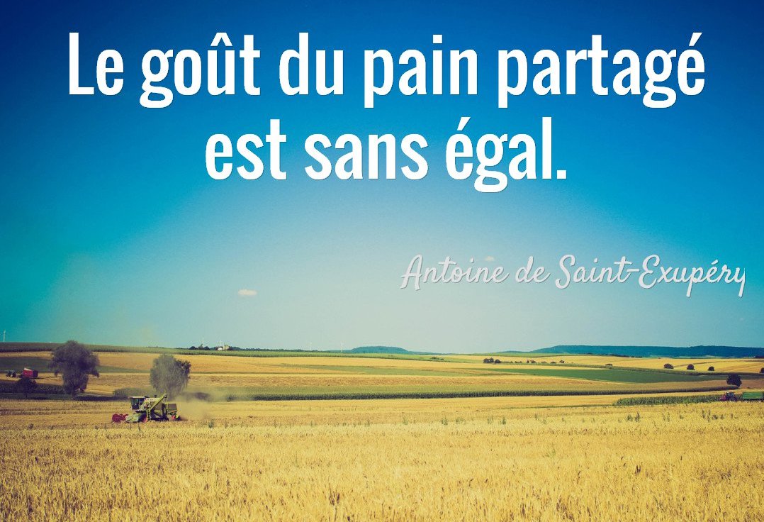 21 Mars 2016 : Journée Mondiale du Pain.