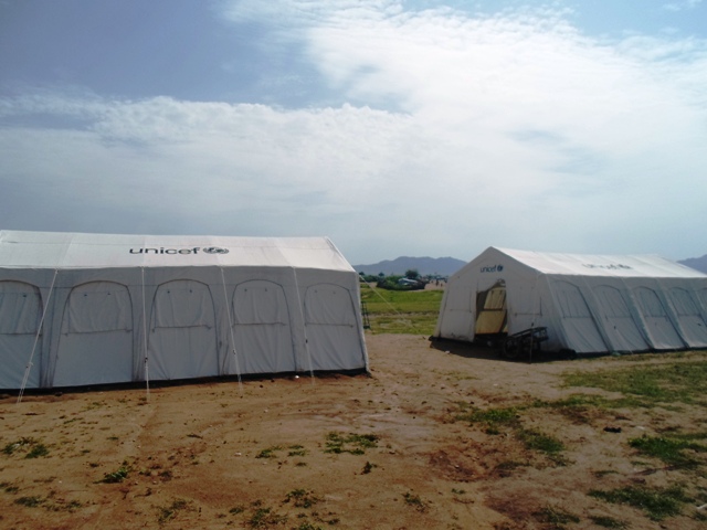 Cocktail d’ambassadeurs au chevet des victimes de Boko Haram.