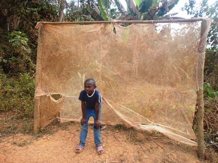 Soleil levant des pratiques familiales essentielles.