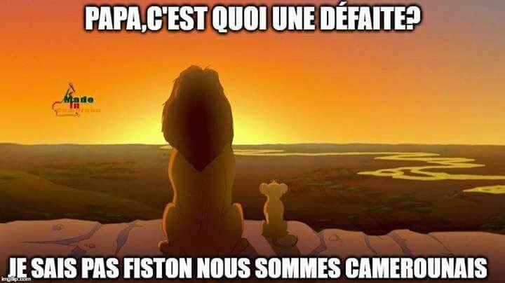 Je suis camerounais, et je suis… indomptable
